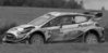 FORD FIESTA WRC  RALLY ESTONIA 2020 1:43